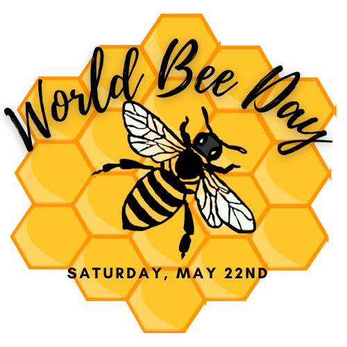 The Buzz at The Village Green