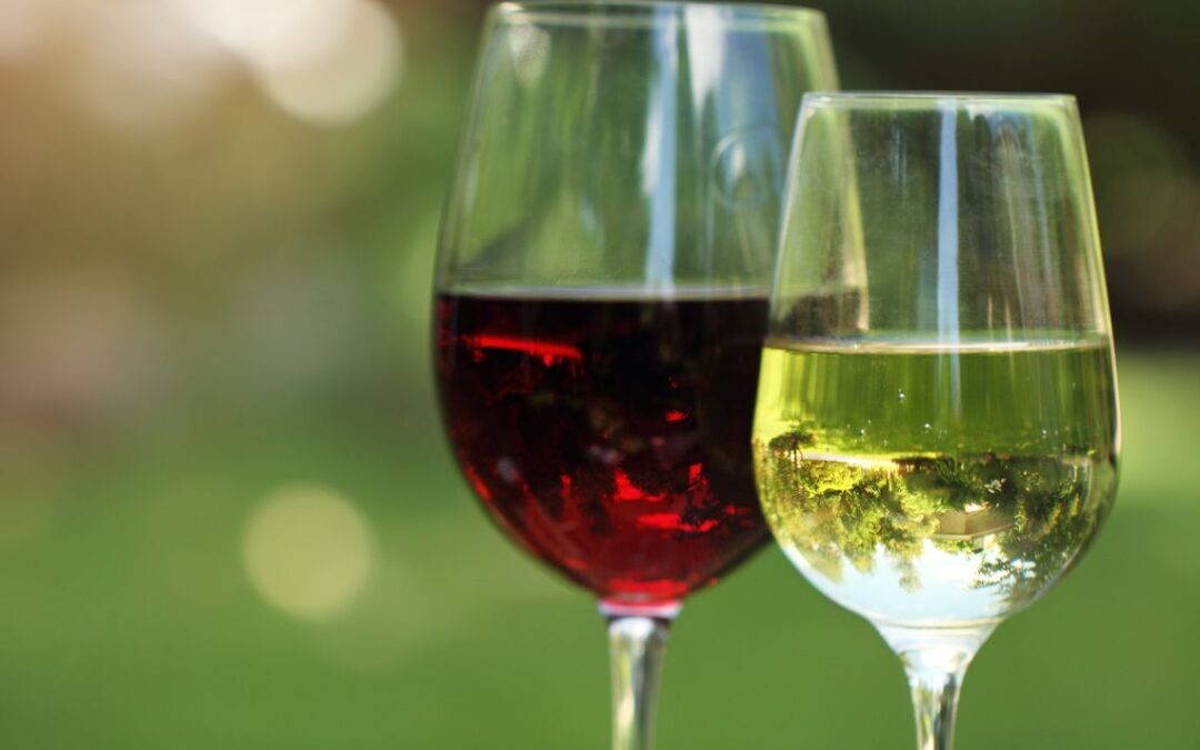 Green Market Wine Tasting with Dalla Terra